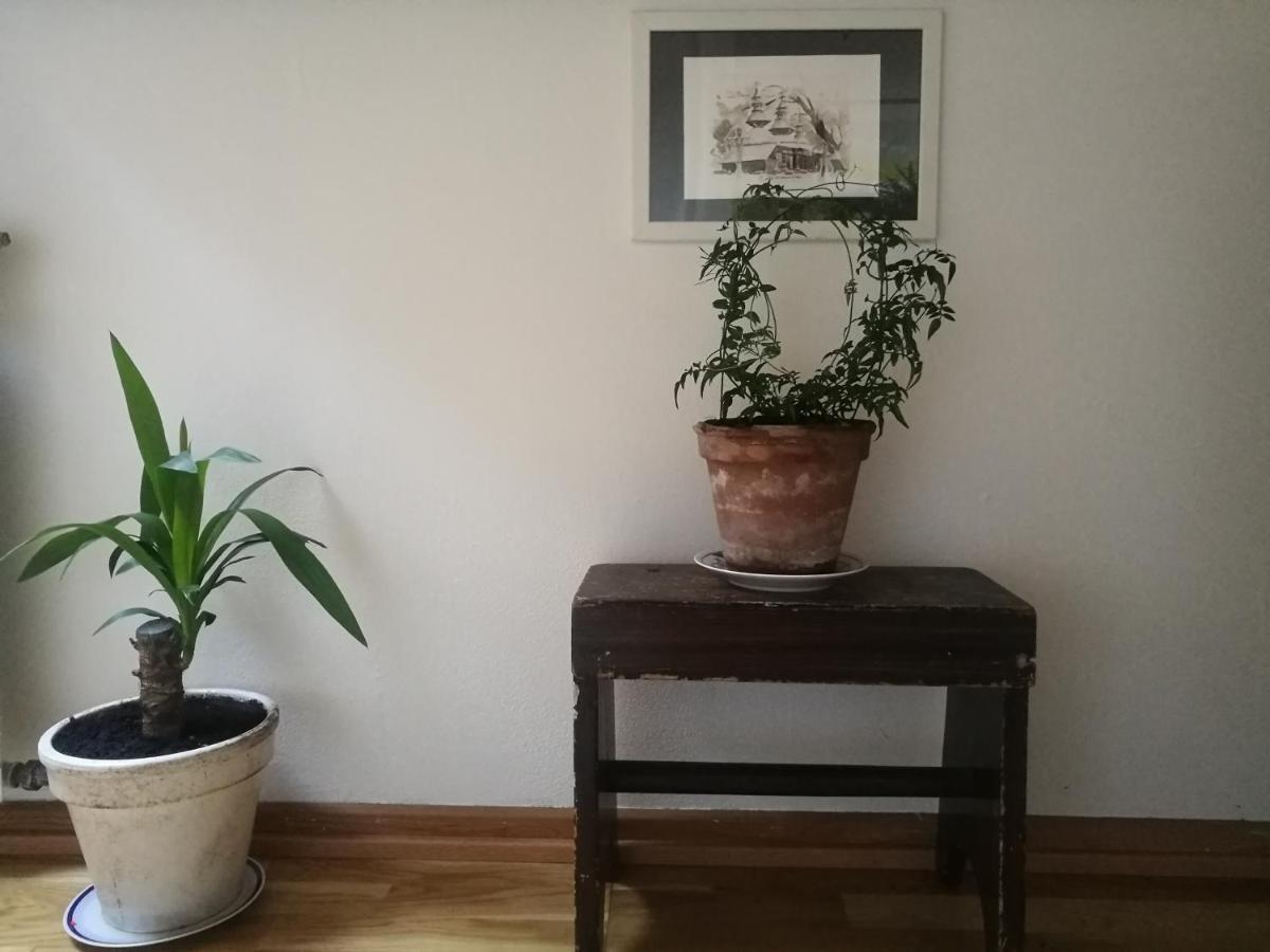 Green Vagon, Farm B&B Rooms For Rent Hjørring Extérieur photo